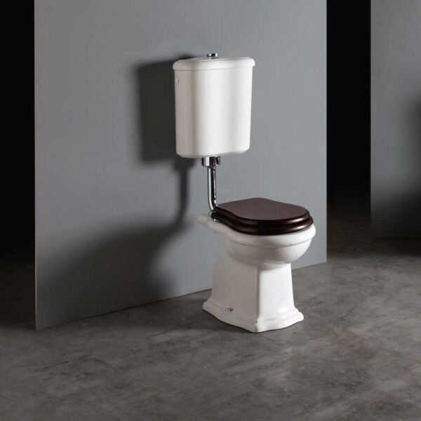 Vaso monoblocco con cassetta a zaino in ceramica Collezione Contea AXA per arredo bagno – Tuttidea