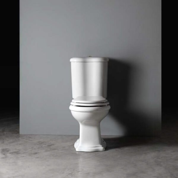 Vaso monoblocco in ceramica Collezione Contea AXA per arredo bagno – Tuttidea