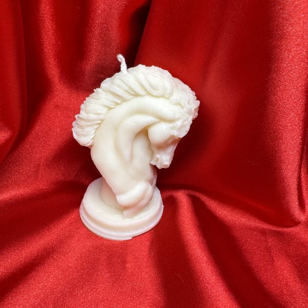 Candela cavallo di cera di soia fatto a mano Ale Home Decor