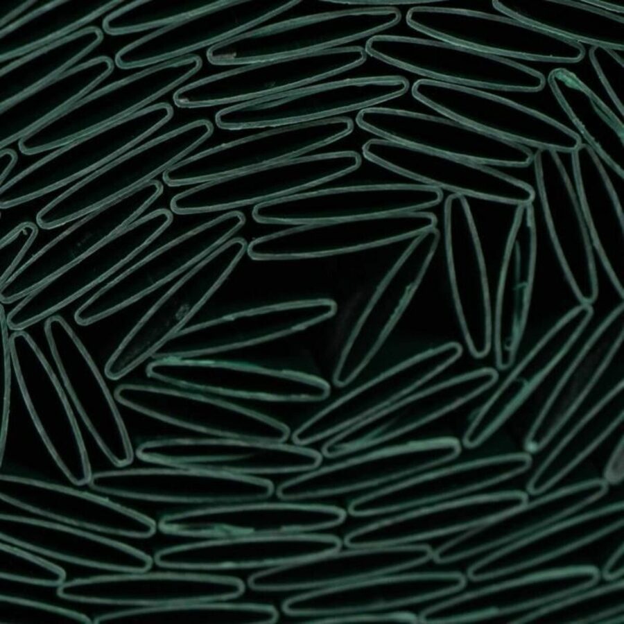 S71017295_1