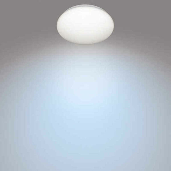 S7907807_1